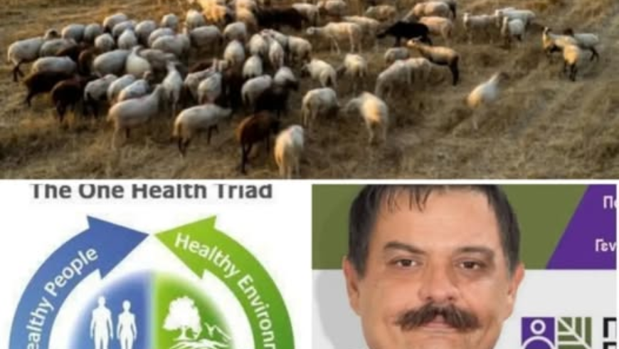 Φαράντος: Οι ζωονόσοι απειλούν το μέλλον της αρκαδικής κτηνοτροφίας – Επιτακτική ανάγκη για μακροπρόθεσμο στρατηγικό σχεδιασμό