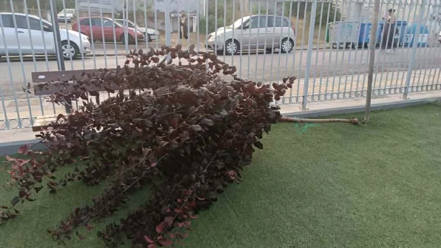Βανδαλισμός στην παιδική χαρά της Αγίας Βαρβάρας